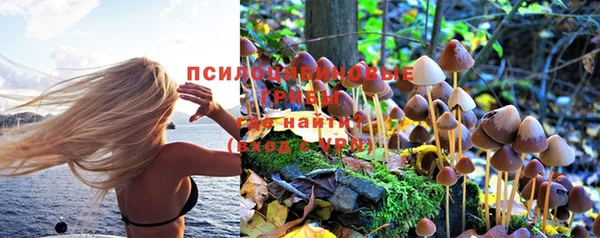 тгк Алзамай