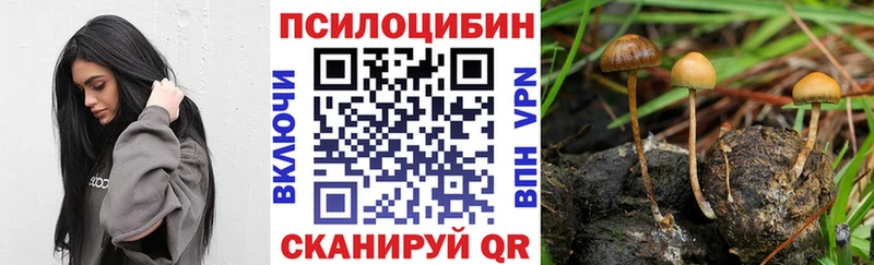 Галлюциногенные грибы мицелий  Пикалёво 